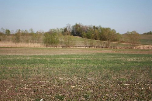 Property photo 18 - 641 Acres Offered in 16 Tracts - 545 Cropland Acres